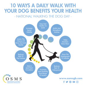 10 Reasons to Walk Your Dog Every Day