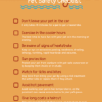 15 Swimming Safety Tips for Your Dog
