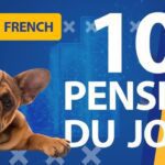 17 Amazing Facts About French Bulldogs