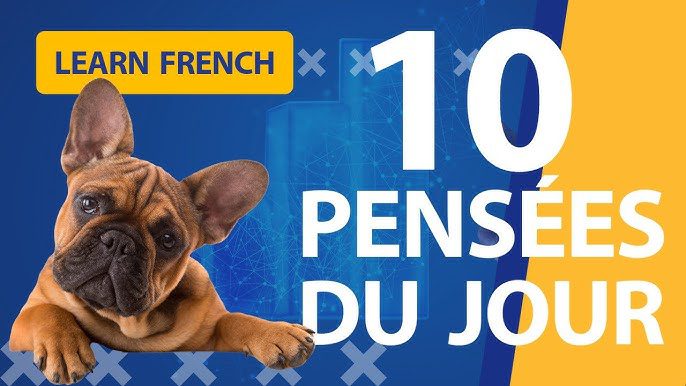17 Amazing Facts About French Bulldogs