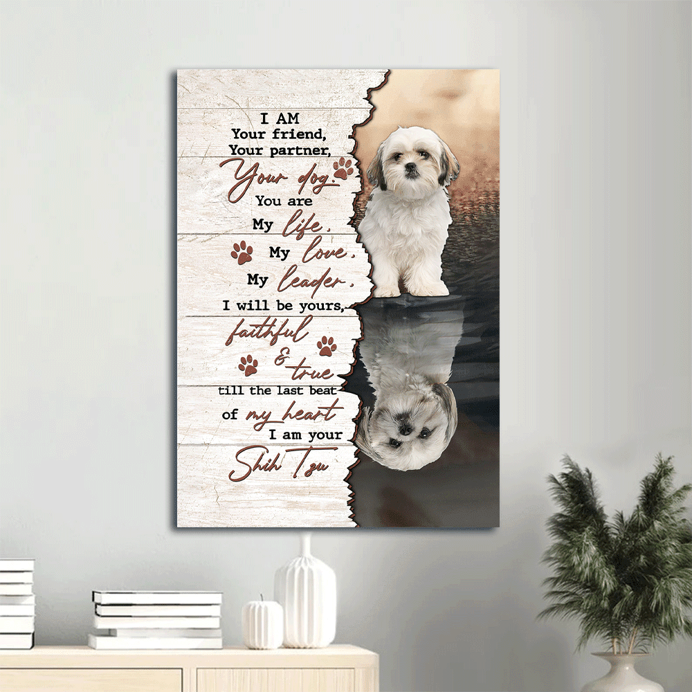 20 Amazing Things About Shih Tzu Dogs