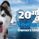 20 Things Only a Siberian Husky Owner Would Understand