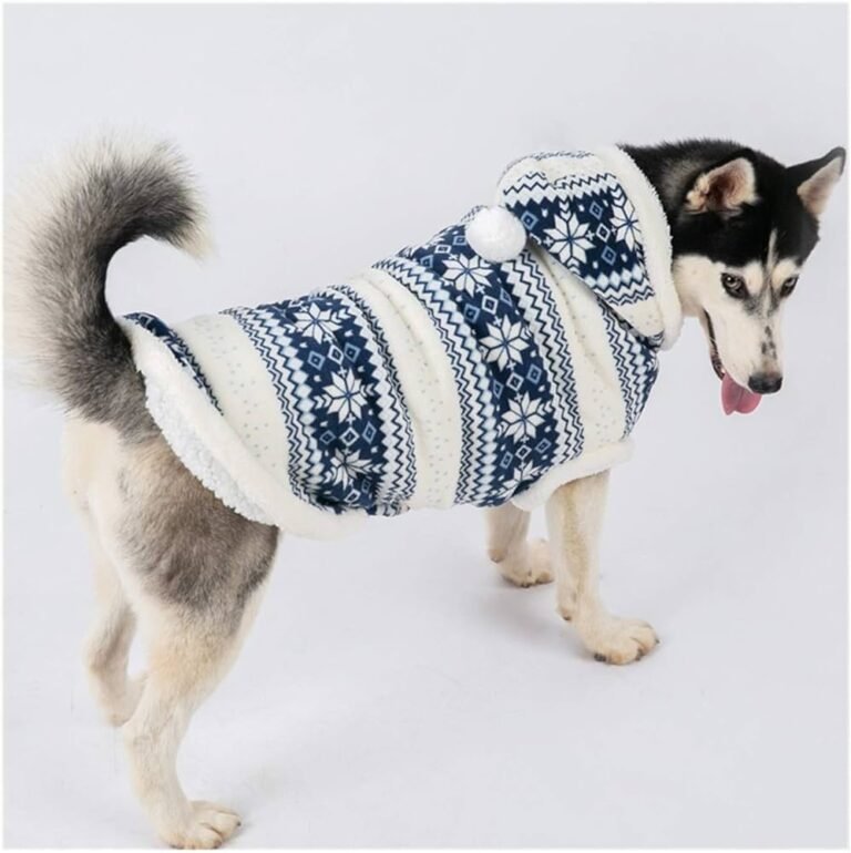 20 Dogs Who are Most Prone to Diseases