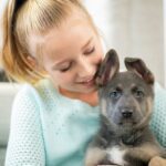 Dog Insurance & Puppy Insurance – Ultimate Guide 2024 The Right Way to Bond With Your Dog