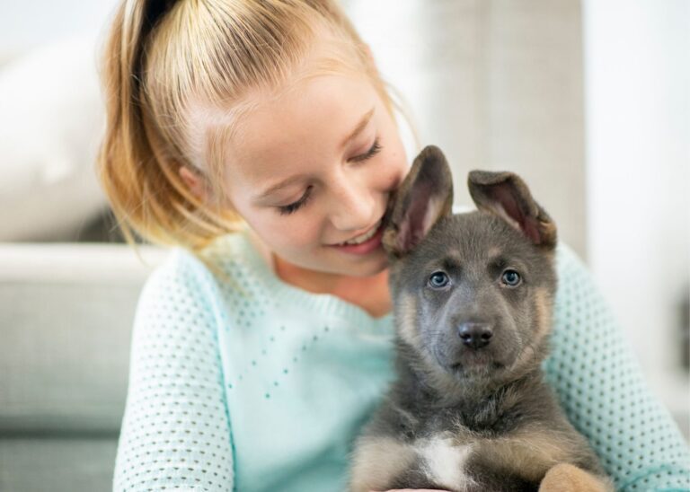 Dog Insurance & Puppy Insurance – Ultimate Guide 2024 The Right Way to Bond With Your Dog