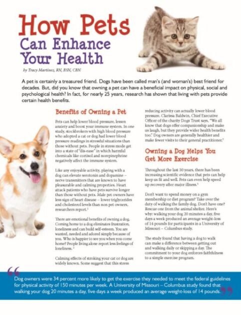 Top 20 Benefits of Having a Corgi