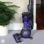 Dyson Ball Animal 2, the Ultimate Pet Hair Removal Machine