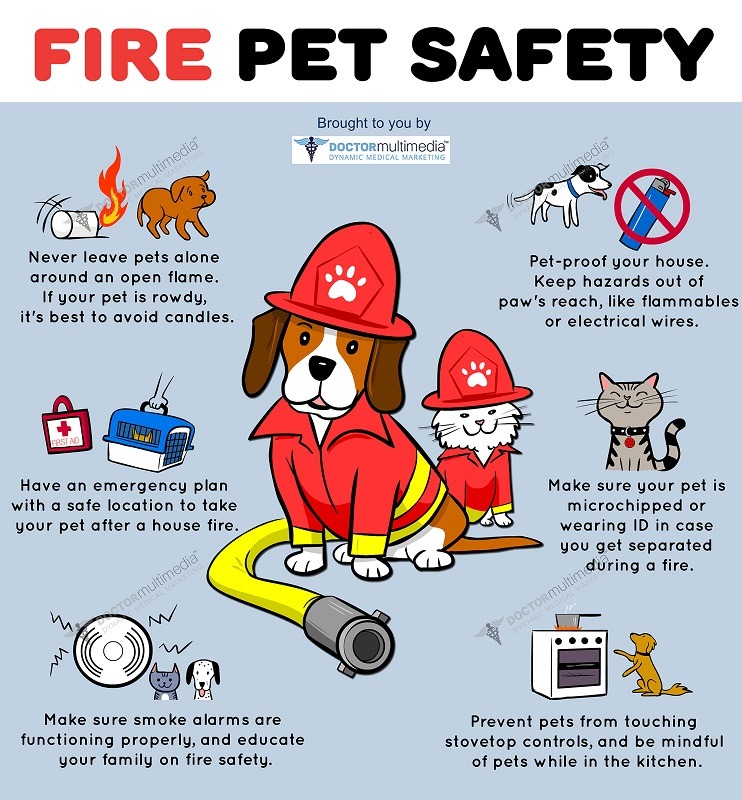 How To Keep Your Pet Safe During a Fire
