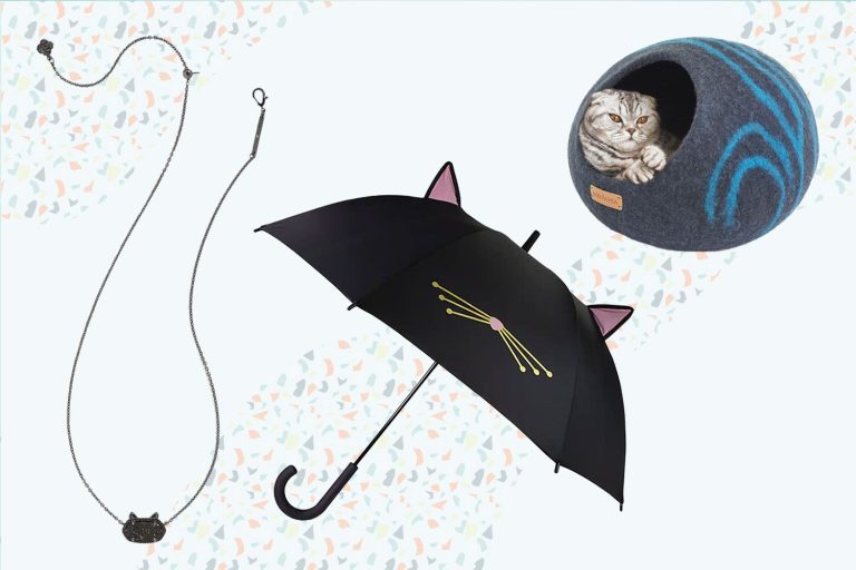 The 56 Best Gifts for Cats And Cat Lovers of 2023