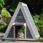 The 6 Best Outdoor Cat Houses