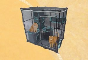The 7 Best Catios for Hanging Outside With Your Cat