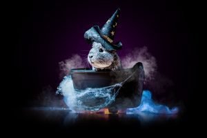 The 7 Best Halloween Costumes for Guinea Pigs of 2023