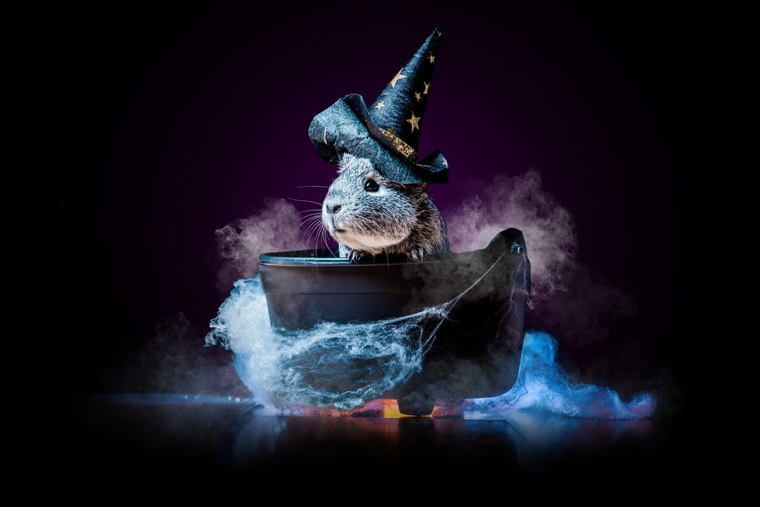 The 7 Best Halloween Costumes for Guinea Pigs of 2023