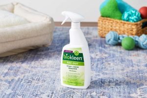 The 8 Best Cat Pee, Odor, And Stain Removal Products of 2024, Tested And Reviewed