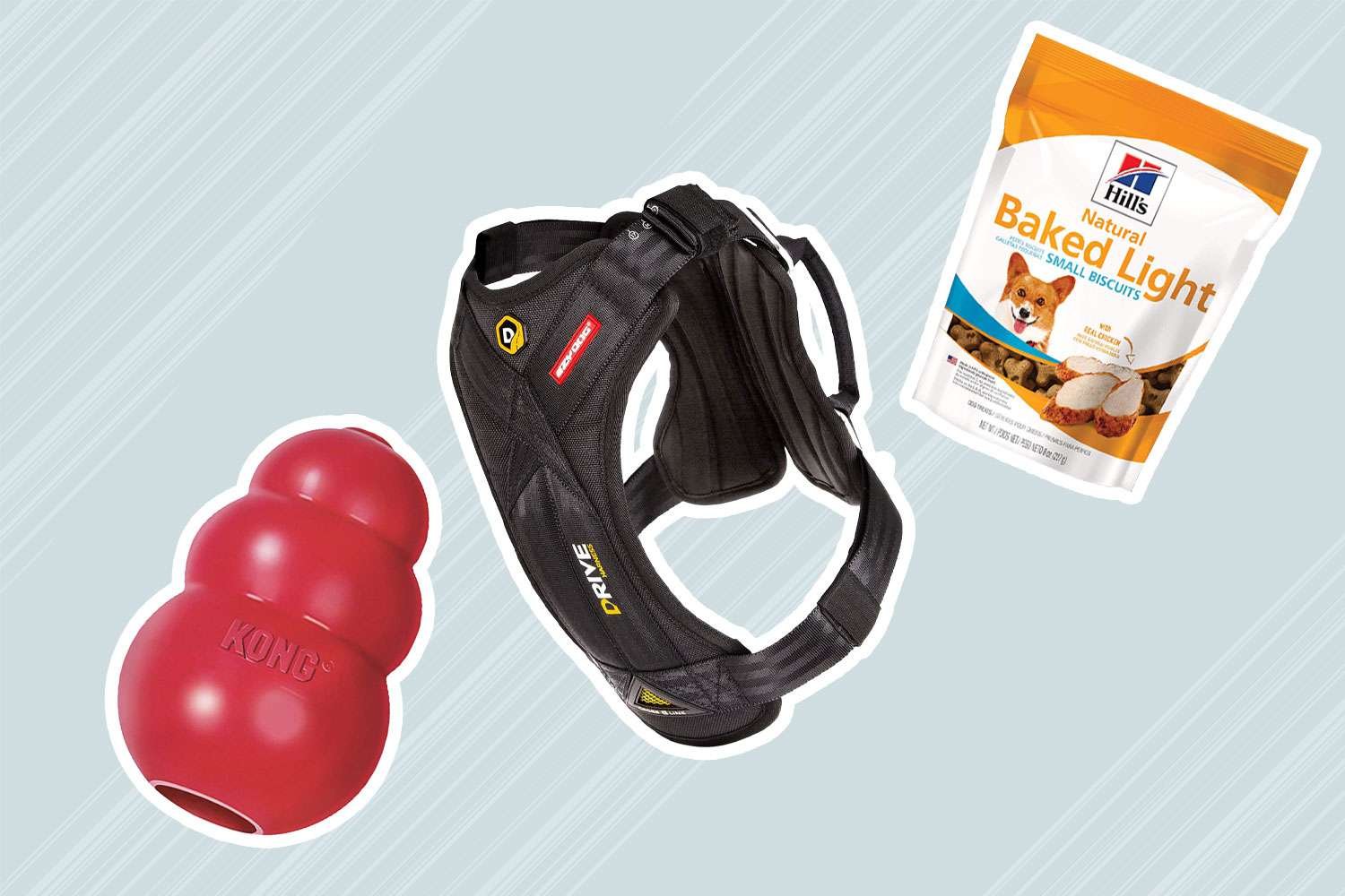 We Spoke To An Expert For Tips On Keeping Your Dog Calm During The Hectic Holiday Season