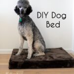 Crafting a Cozy Dog Basket: A Step-by-Step Guide for Pet Owners