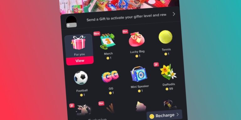 how much does the hot dog gift cost on TikTok?