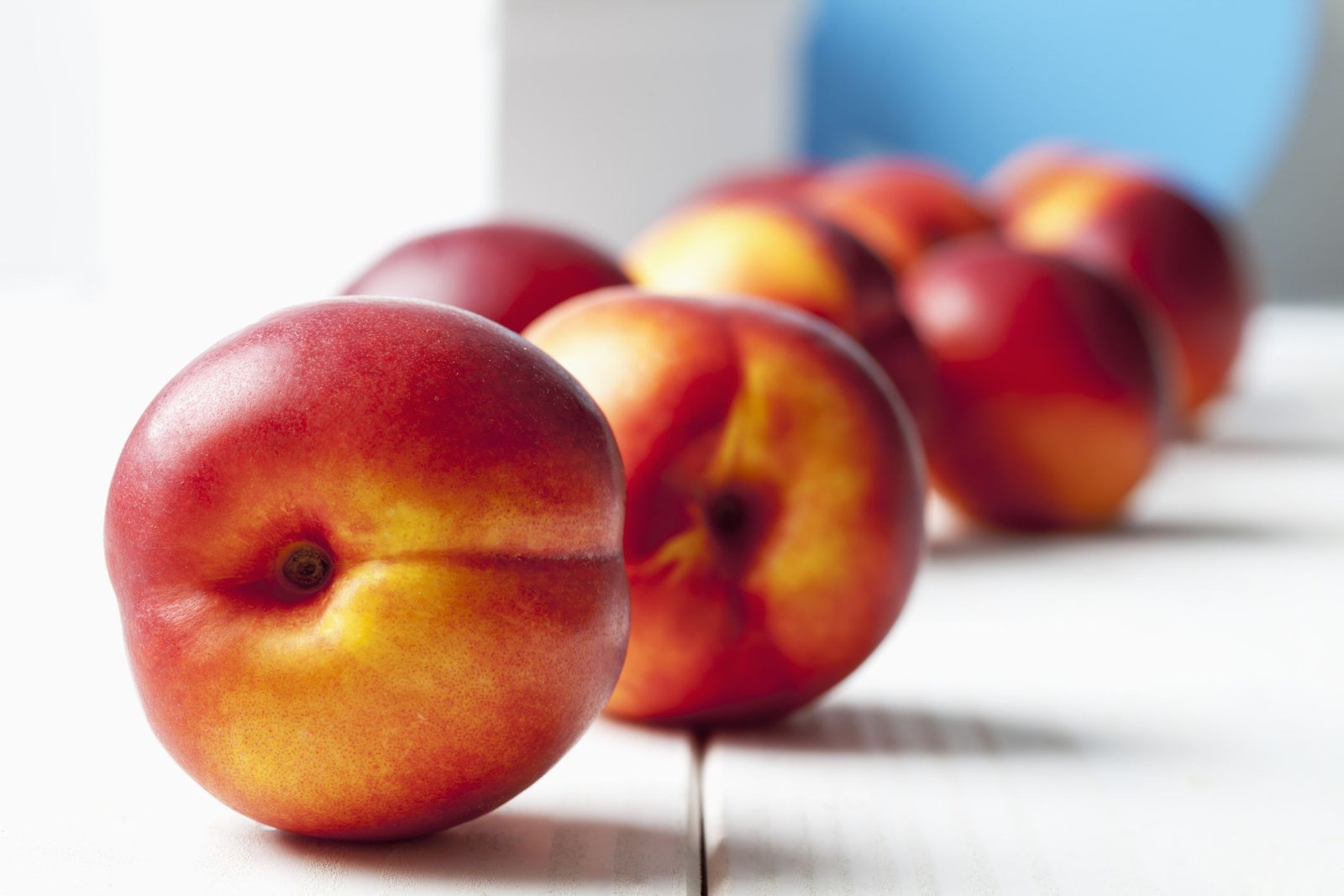 Can Dogs Eat Nectarines?