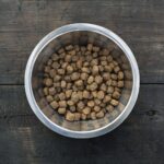 Does Dog Food Expire?
