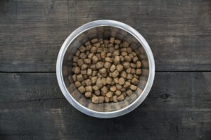 Does Dog Food Expire?