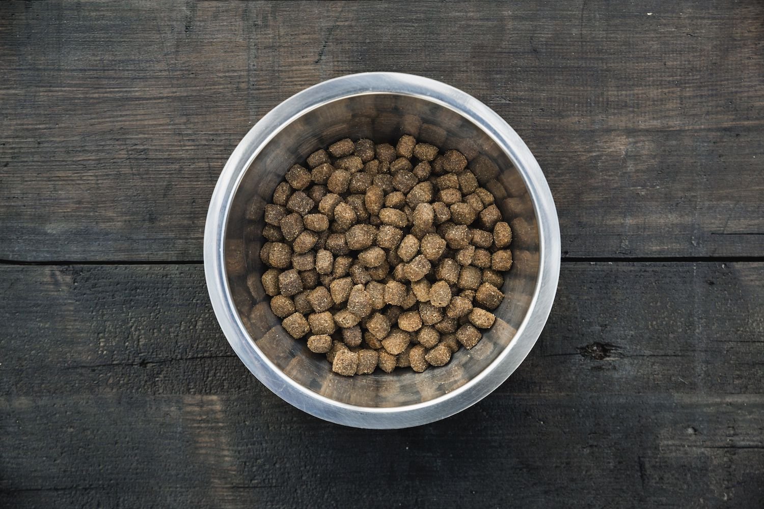 Does Dog Food Expire?