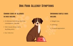 Food Allergies in Dogs