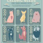 How Many Calories Should My Dog Eat Per Day?