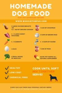 Vet-Approved Homemade Dog Food Recipes