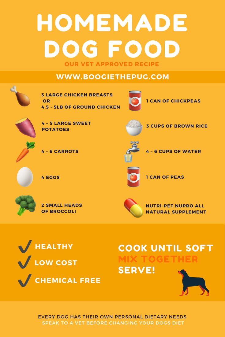 Vet-Approved Homemade Dog Food Recipes