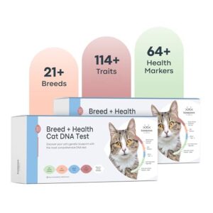 3 Reasons I Dna Tested My Cats: Basepaws Review