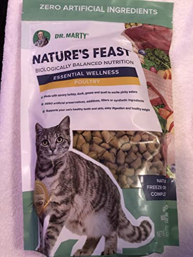 Dr Marty Unbiased Cat Food Review