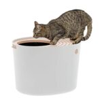 Stylish Top Entry Litter Box For Modern Cats