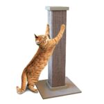 Whiskerwag Scratching Post Say Goodbye to Scratched Furniture!