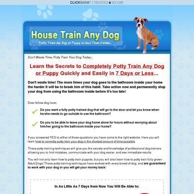 How to Housetrain Any Dog