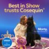 Cosequin Senior Joint Health Supplement for Senior Dogs - With Glucosamine, Chondroitin, Omega-3 for Skin and Coat Health and Beta Glucans for Immune Support, 60 Soft Chews - Image 6