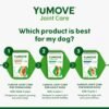Hip and Joint Supplement - 120 Tablets for Dogs with Glucosamine, Chondroitin, MSM, Omega 3, Hyaluronic Acid, Green Lipped Mussel, & Fish Oil for Dogs - Joint Support Supplement - Senior Dogs - Image 8