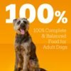 Pedigree Chopped Ground Dinner Wet Dog Food Chicken & Beef Variety Pack, 13.2 oz. Cans (24 Count, Pack of 1) - Image 10