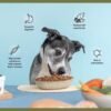 Superfood Complete, Air-Dried Adult Dog Food - High Protein, Zero Fillers, Superfood Nutrition by Katherine Heigl (24 oz., Premium Chicken)