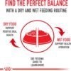 Royal Canin Shih Tzu Adult Breed Specific Dry Dog Food, 10 lb bag