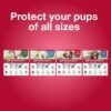 K9 Advantix II Medium Dog Vet-Recommended Flea, Tick & Mosquito Treatment & Prevention | Dogs 11-20 lbs. | 2-Mo Supply