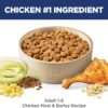 Hill's Science Diet Adult 1-6, Adult 1-6 Premium Nutrition, Dry Dog Food, Chicken & Barley, 5 lb Bag