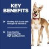 Hill's Science Diet Adult 1-6, Adult 1-6 Premium Nutrition, Dry Dog Food, Chicken & Barley, 5 lb Bag