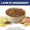 Hill's Science Diet Adult 1-6, Adult 1-6 Premium Nutrition, Small Kibble, Dry Dog Food, Lamb & Brown Rice, 33 lb Bag