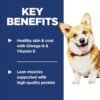 Hill's Science Diet Adult 1-6, Adult 1-6 Premium Nutrition, Small Kibble, Dry Dog Food, Lamb & Brown Rice, 33 lb Bag