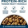 Purina ONE Plus Large Breed Adult Dog Food Dry Formula - 31.1 lb. Bag - Image 2