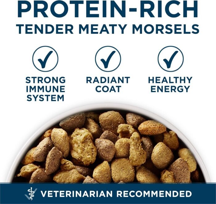 Purina ONE Plus Large Breed Adult Dog Food Dry Formula - 31.1 lb. Bag