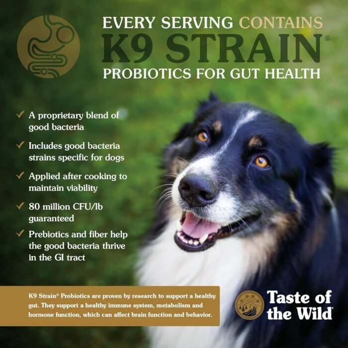 Taste of the Wild High Prairie Canine Grain-Free Recipe with Roasted Bison and Roasted Venison Adult Dry Dog Food, Made with High Protein from Real Meat and Guaranteed Nutrients and Probiotics 14lb