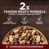 Purina ONE Natural High Protein Dry Dog Food Dry True Instinct with Real Beef and Salmon With Bone Broth and Added Vitamins, Minerals and Nutrients - 27.5 lb. Bag - Image 2