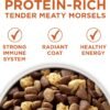 Purina ONE Plus Healthy Weight High-Protein Dog Food Dry Formula - 8 lb. Bag - Image 3