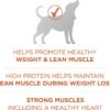 Purina ONE Plus Healthy Weight High-Protein Dog Food Dry Formula - 8 lb. Bag - Image 5